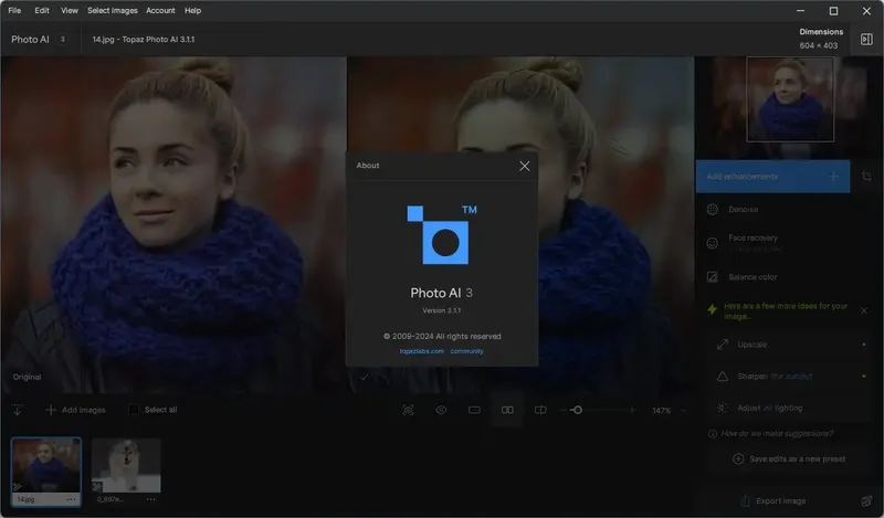 Пользовательсткй интерфейс Topaz Photo AI 3.1.1 (x64) Portable by 7997 [En]