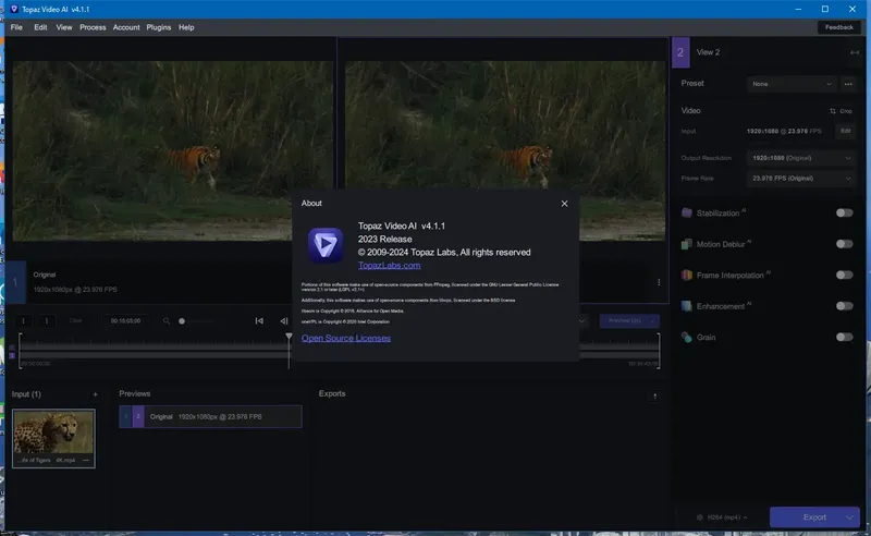 Пользовательсткй интерфейс Topaz Video AI 4.1.1 (x64) Portable by 7997 [En]