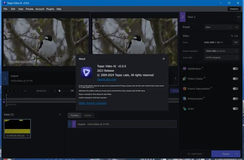Пользовательсткй интерфейс Topaz Video AI 5.0.0 (x64) Portable by 7997 [En]
