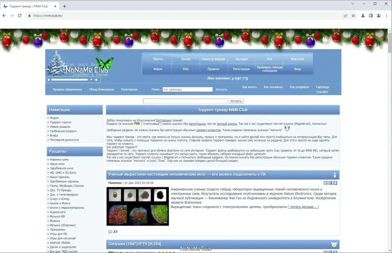 Пользовательсткй интерфейс Ungoogled Chromium 120.0.6099.129-1.1 + Portable [Multi Ru]