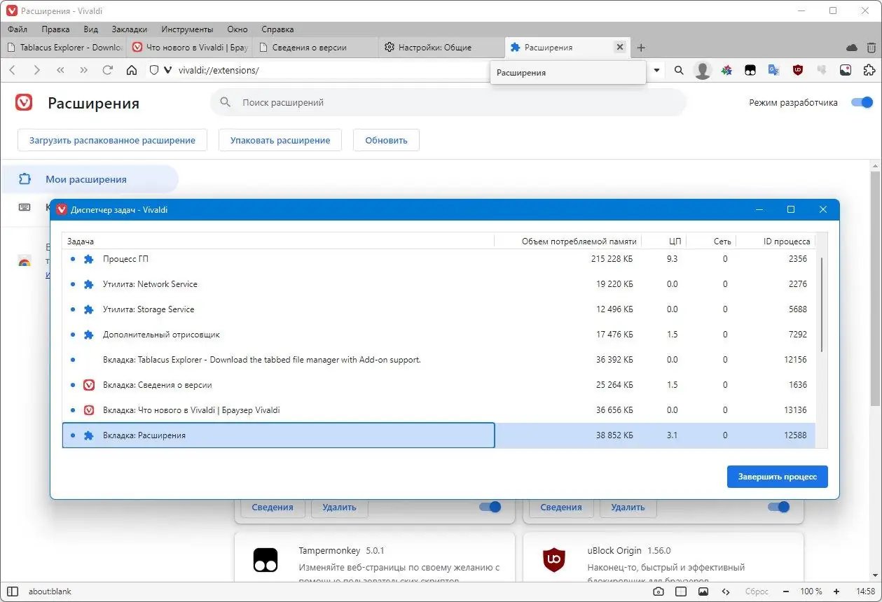 Пользовательсткй интерфейс Vivaldi 6.6.3271.45 include standalone [Multi Ru]
