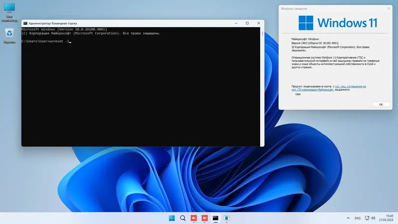 Пользовательсткй интерфейс Windows 11 Enterprise LTSC x64 24Н2 (build 26100.4061) by ivandubskoj 24.05.2025 [Ru]