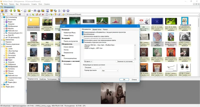 Пользовательсткй интерфейс XnView Classic 2.51.3 (Minimal-Standard-Extended) + Portable [Multi Ru]