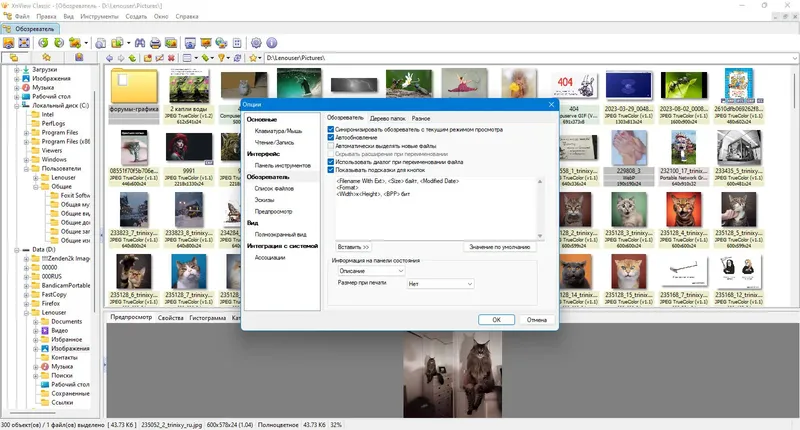 Пользовательсткй интерфейс XnView Classic 2.51.4 (Minimal-Standard-Extended) + Portable [Multi Ru]