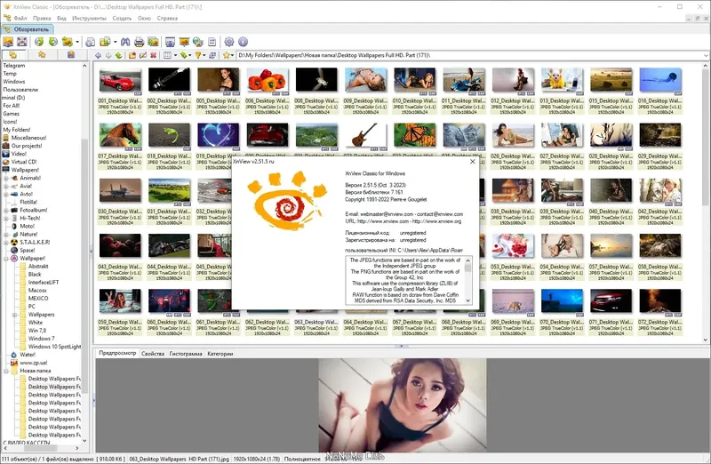 Пользовательсткй интерфейс XnView Classic 2.51.5 (Minimal-Standard-Extended) + Portable [Multi Ru]