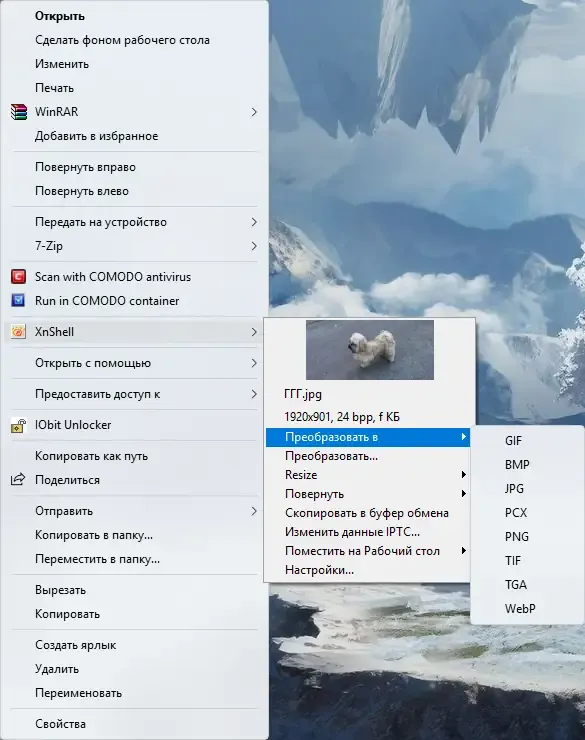 Пользовательсткй интерфейс XnView Shell Extension 4.2.0 + Standalone [Multi Ru]