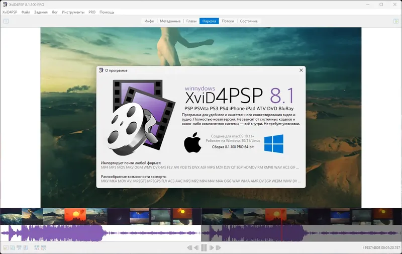 Пользовательсткй интерфейс XviD4PSP 8.1.100 Pro (x64) Portable by FC Portables [Multi Ru]
