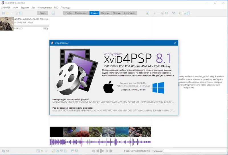 Пользовательсткй интерфейс XviD4PSP 8.1.80 Pro (x64) Portable by 7997 [Multi Ru]