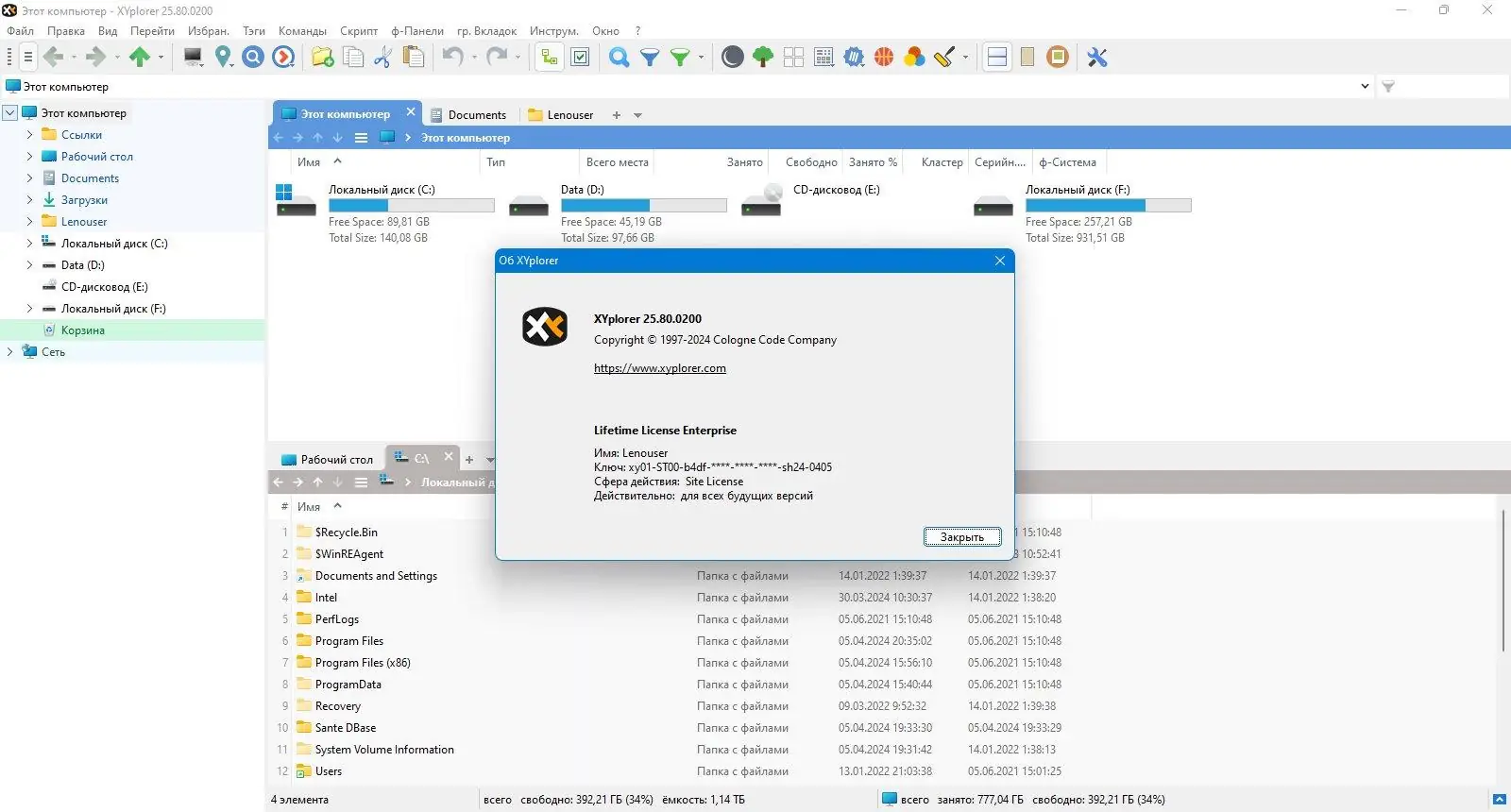 Пользовательсткй интерфейс XYplorer 25.80.0200 + Portable [Multi Ru]