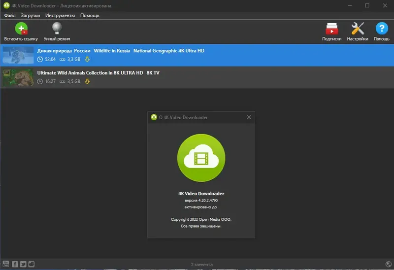 Программный интерфейс 4K Video Downloader 4.20.2.4790 RePack (& Portable) by KpoJIuK [Multi Ru]