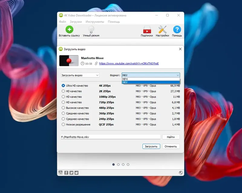 Программный интерфейс 4K Video Downloader 4.21.2.4970 RePack (& Portable) by elchupacabra [Multi Ru]