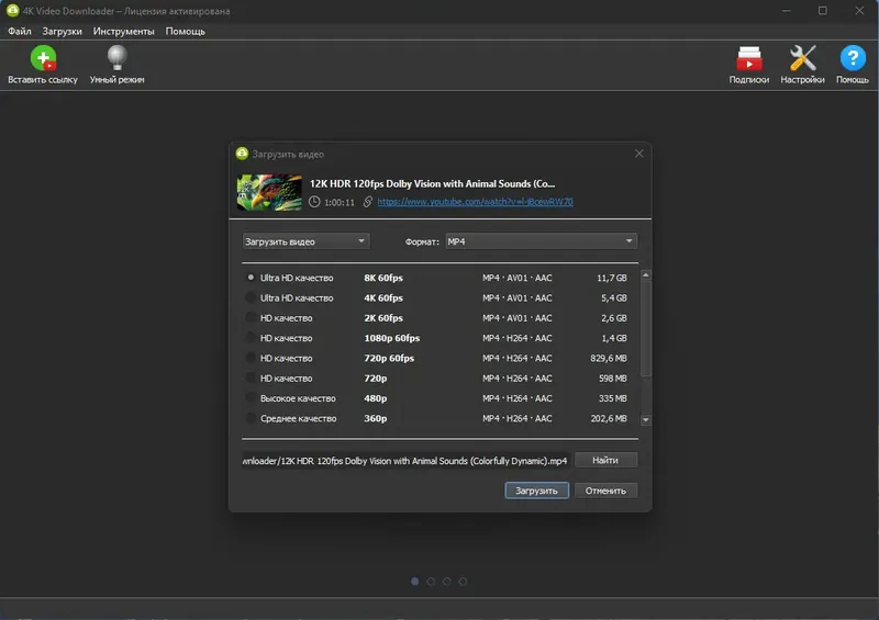 Программный интерфейс 4K Video Downloader 4.24.0.5340 RePack (& Portable) by Dodakaedr [Ru En]