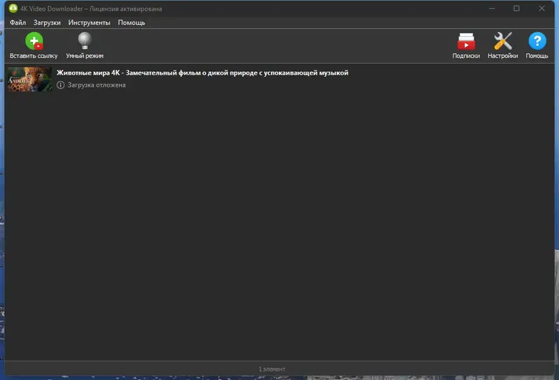 Программный интерфейс 4K Video Downloader 4.24.1.5352 RePack (& Portable) by elchupacabra [Multi Ru]