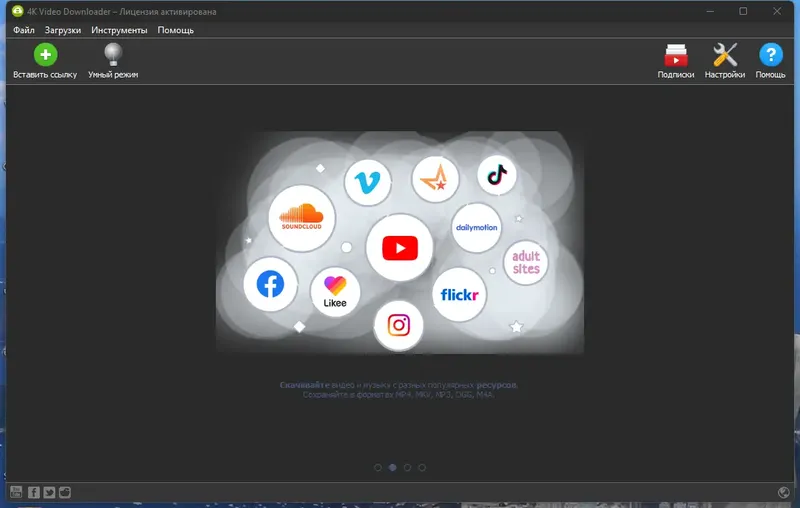 Программный интерфейс 4K Video Downloader 4.24.2.5380 RePack (& Portable) by TryRooM [Multi Ru]