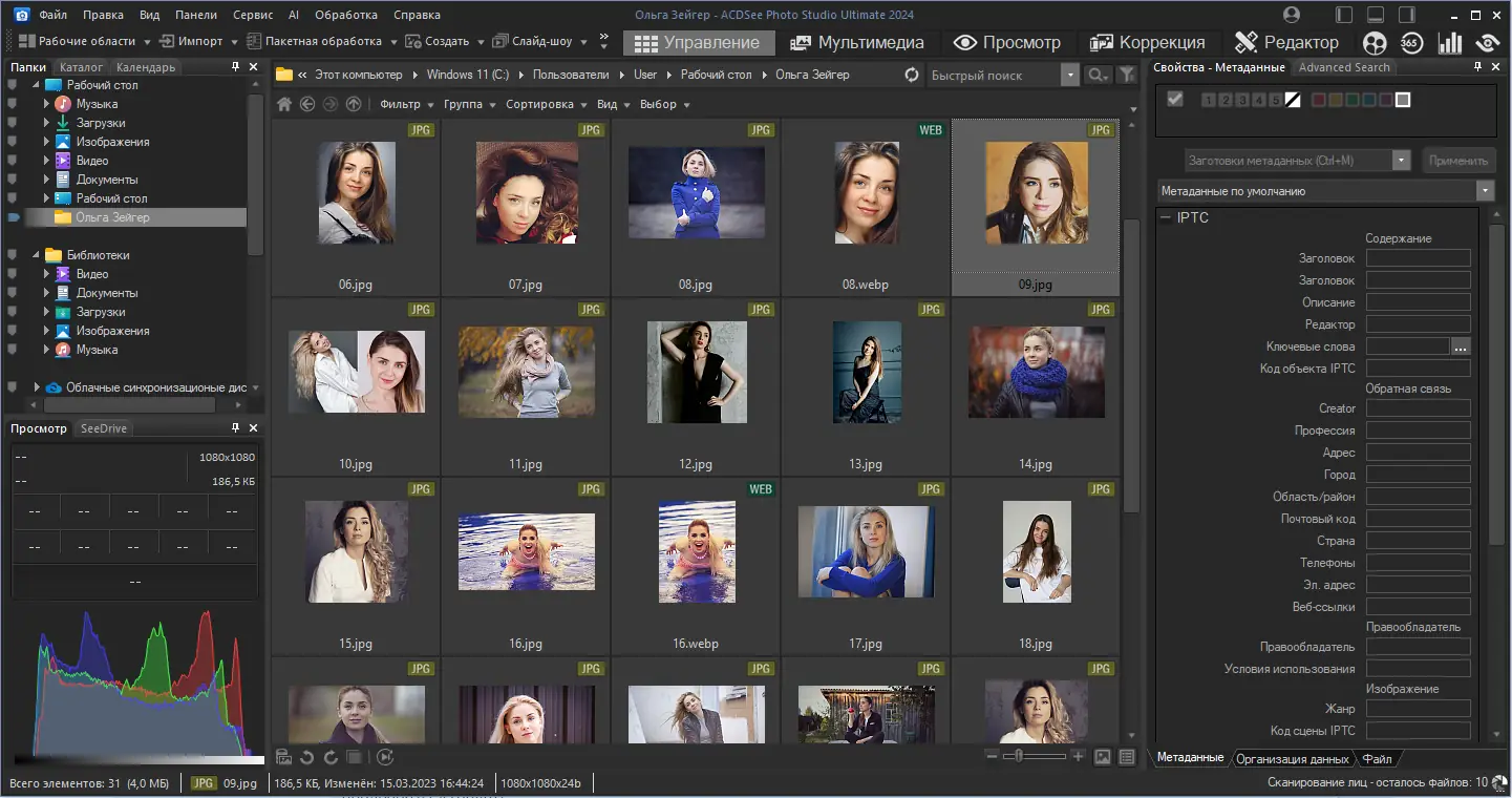 Программный интерфейс ACDSee Photo Studio Ultimate 2024 17.0.2.3593 Full Lite RePack by KpoJIuK [Ru En]