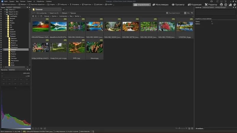 Программный интерфейс ACDSee Photo Studio Ultimate 2025 18.0.0.3929 Full Lite RePack by KpoJIuK [Ru En]