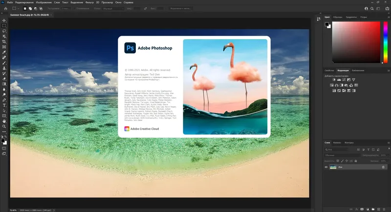 Программный интерфейс Adobe Photoshop 2021 22.4.2.242 (x64) RePack by SanLex [Multi Ru]