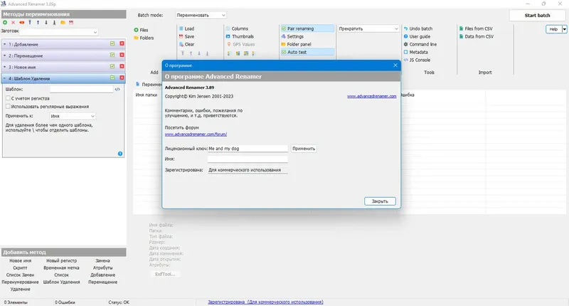 Программный интерфейс Advanced Renamer 3.89.2 Final + Portable (x64) [Multi Ru]