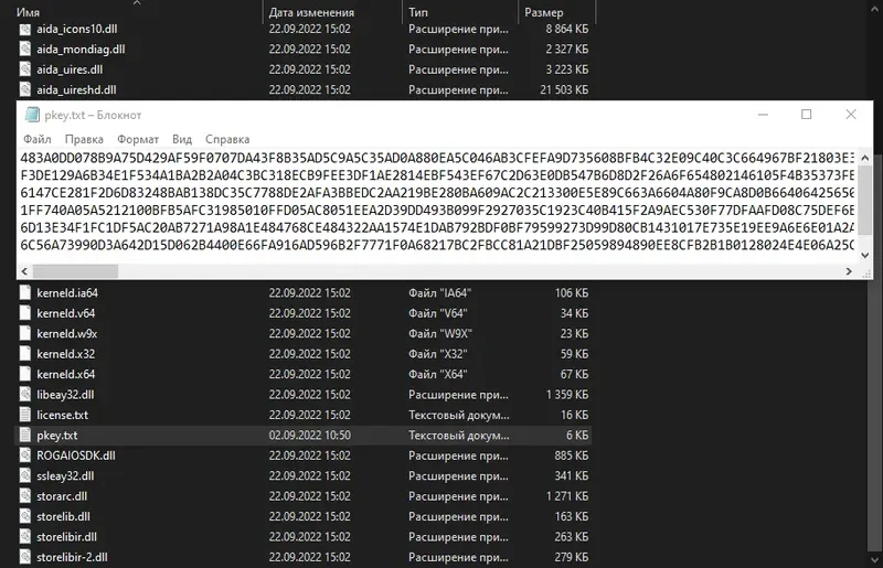 Программный интерфейс AIDA64 Extreme Edition 7.00.6738 Beta Portable [Multi Ru]