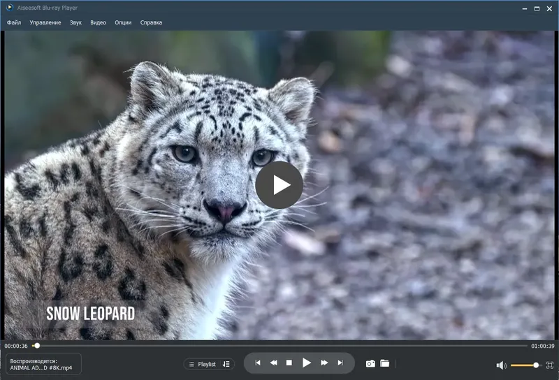 Программный интерфейс Aiseesoft Blu-ray Player 6.7.62 Repack (& Portable) by elchupacabra [Multi Ru]