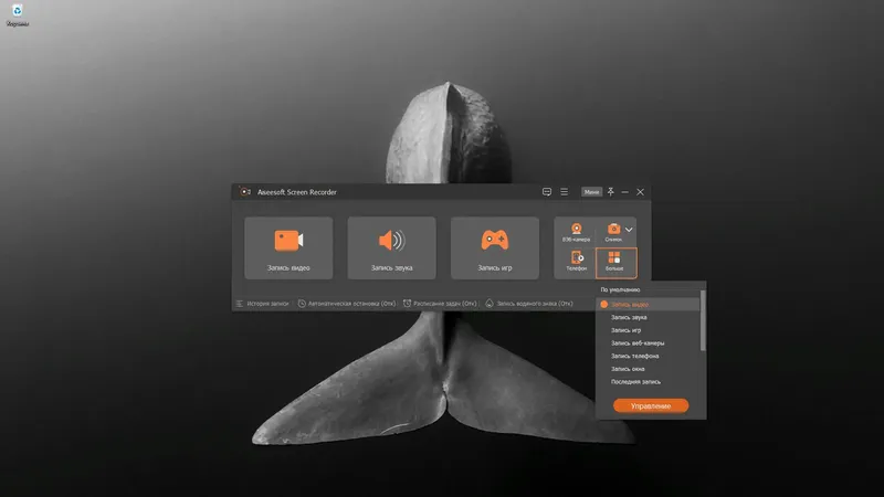 Программный интерфейс Aiseesoft Screen Recorder 2.2.80 RePack (& Portable) by TryRooM [Multi Ru]