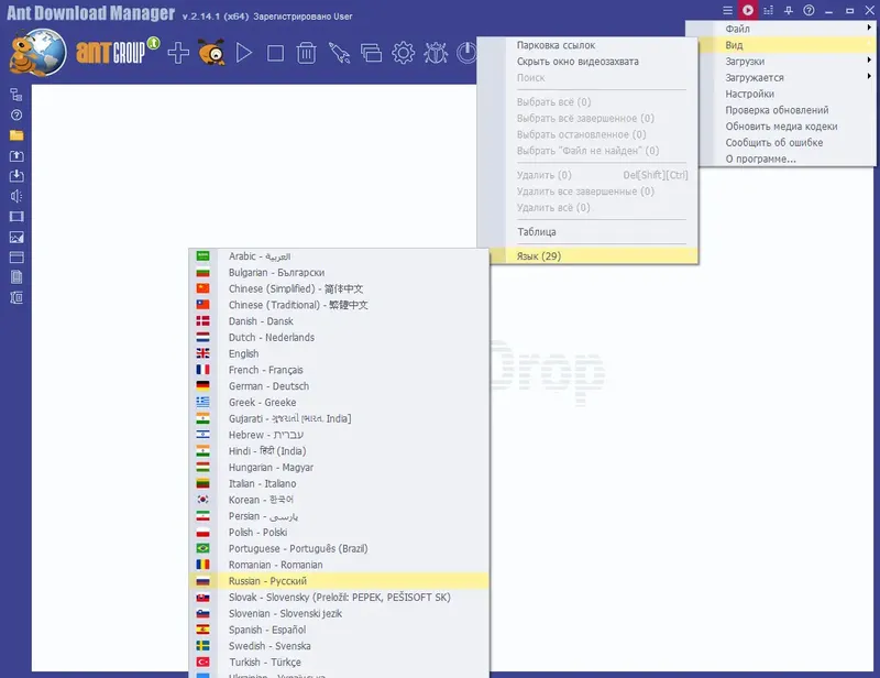 Программный интерфейс Ant Download Manager Pro 2.14.1 Build 88711 (x32) Build 88710 (x64) Portable by 7997 [Multi Ru]