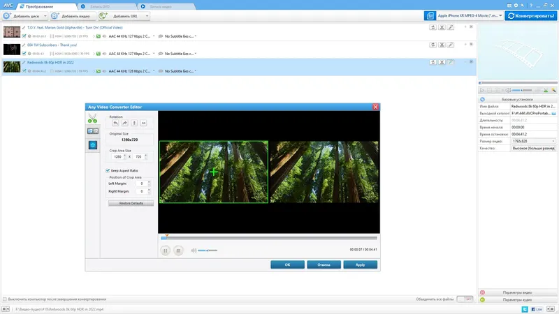 Программный интерфейс Any Video Converter Professional 7.1.7 RePack (& Portable) by TryRooM [Multi Ru]