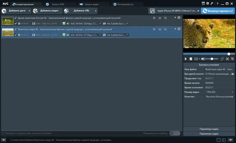 Программный интерфейс Any Video Converter Ultimate 7.1.8 RePack (& Portable) by elchupacabra [Multi Ru]