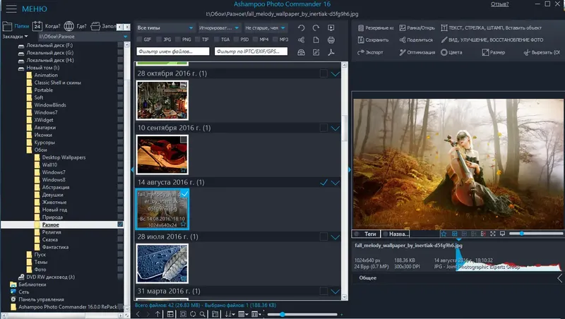 Программный интерфейс Ashampoo Photo Commander 16.1.2 (2020) PC RePack & Portable by TryRooM