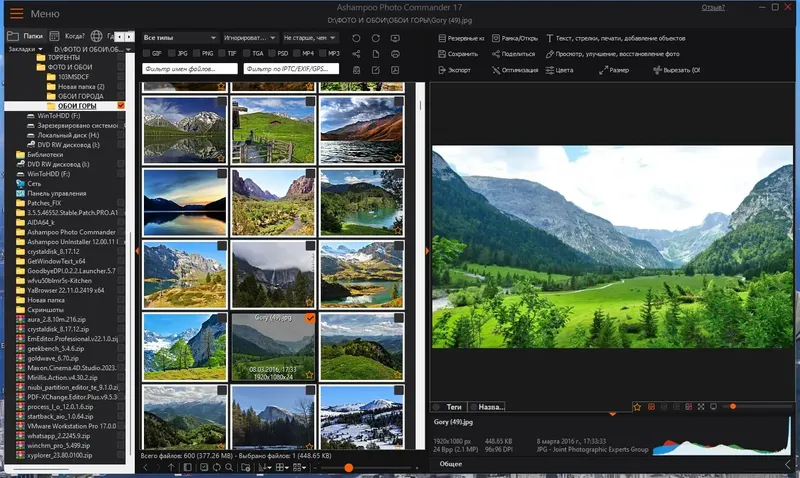 Программный интерфейс Ashampoo Photo Commander 17.0.1 RePack (& Portable) by TryRooM [Multi Ru]