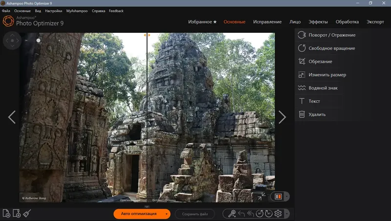 Программный интерфейс Ashampoo Photo Optimizer 9.0.2.25 RePack (& Portable) by TryRooM [Multi Ru]