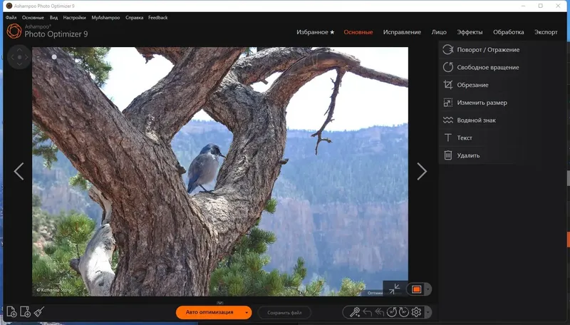 Программный интерфейс Ashampoo Photo Optimizer 9.0.4.28 RePack (& Portable) by TryRooM [Multi Ru]