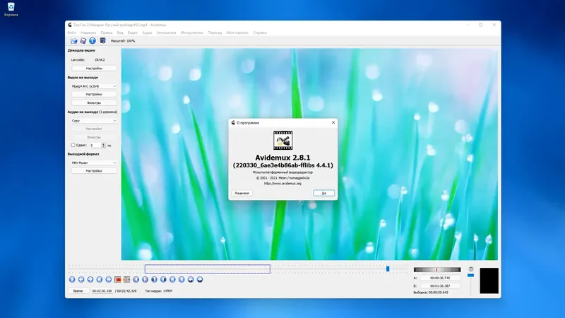 Программный интерфейс Avidemux 2.8.1 Nightly(r220330) + Portable (x64) [Multi Ru]
