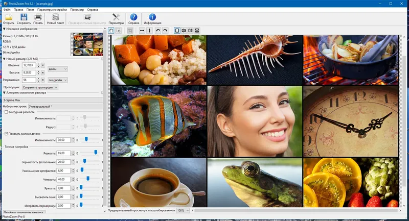 Программный интерфейс Benvista PhotoZoom Pro 8.2.0 RePack (& portable) by TryRooM [Multi Ru]