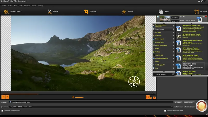 Программный интерфейс Bigasoft Total Video Converter 6.5.0.8427 RePack (& Portable) by TryRooM [Multi Ru]