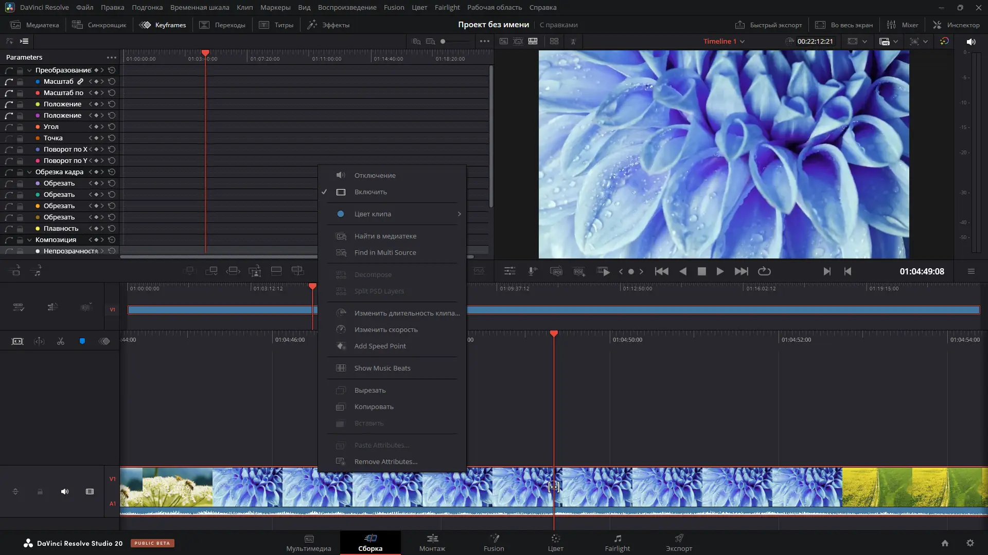 Программный интерфейс Blackmagic Design DaVinci Resolve Studio 20.0B Build 47 Public Beta 4 RePack by KpoJIuK [Multi Ru]