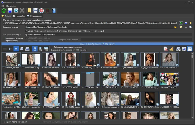 Программный интерфейс Bulk Image Downloader 6.20.0.0 RePack (& Portable) by Dodakaedr [Multi Ru]