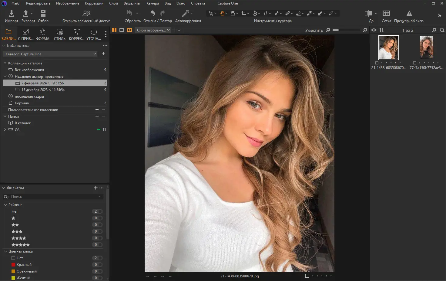 Программный интерфейс Capture One 23 Enterprise 16.3.5.1929 RePack by KpoJIuK [Multi Ru]