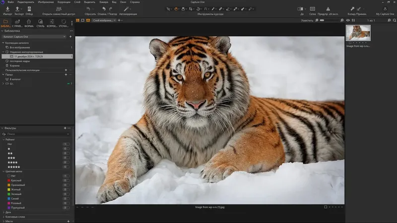Программный интерфейс Capture One 23 Enterprise 16.5.2.2623 RePack by KpoJIuK [Multi Ru]