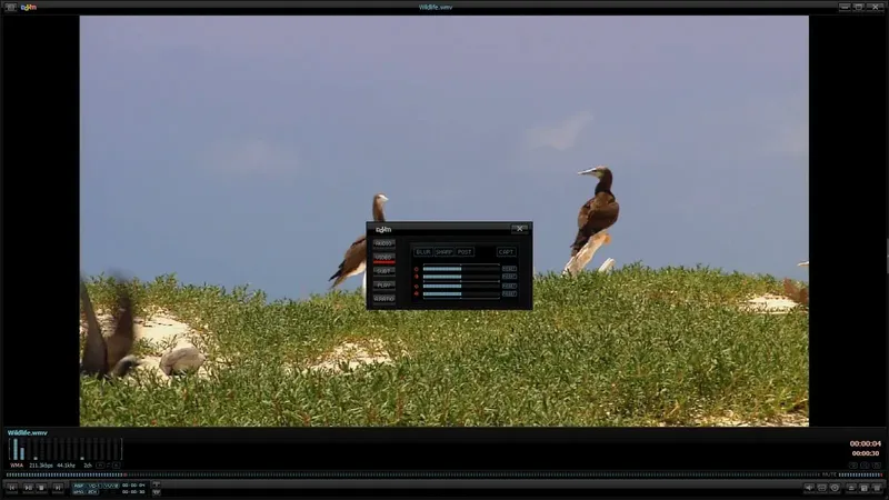 Программный интерфейс Daum PotPlayer v1.6.47995 Stable RePack (& Portable) by KpoJIuK + RePack (& Portable) by SamLab + 540 скинов (2014) MULTi Русский
