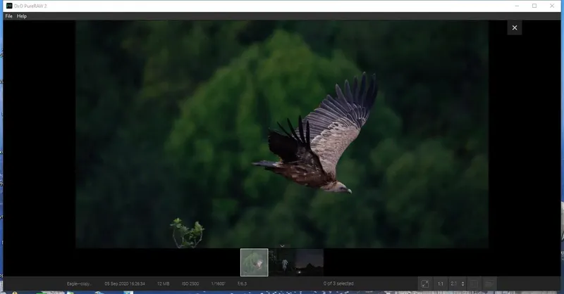 Программный интерфейс DxO PureRAW 2.1.0 build 2 RePack by KpoJIuK [Multi]