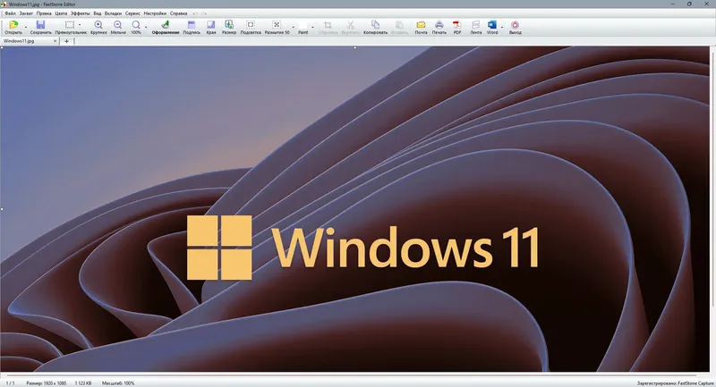 Программный интерфейс FastStone Capture 10.2 Final RePack (& portable) by KpoJIuK [Multi Ru]
