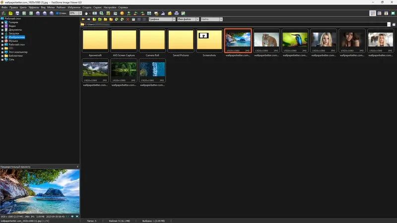 Программный интерфейс FastStone Image Viewer 8.0 RePack (& Portable) by elchupacabra [Multi Ru]