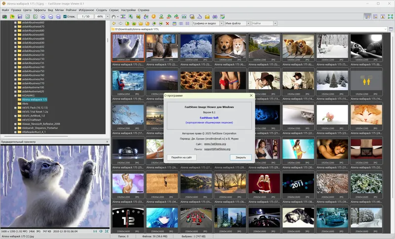 Программный интерфейс FastStone Image Viewer 8.1 RePack (& Portable) by elchupacabra [Multi Ru]