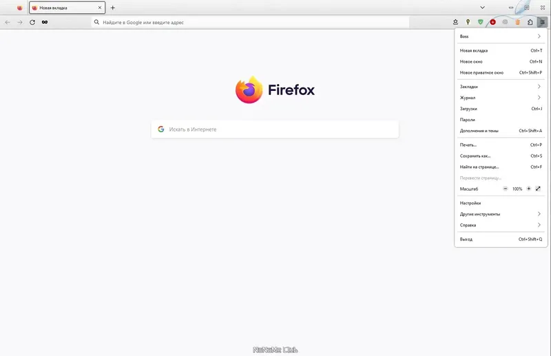 Программный интерфейс Firefox Browser 118.0.1 Portable by PortableApps [Ru]