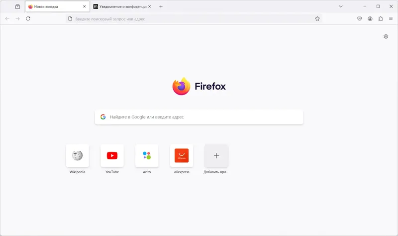 Программный интерфейс Firefox Browser 132.0.1 Portable by PortableApps [Ru]