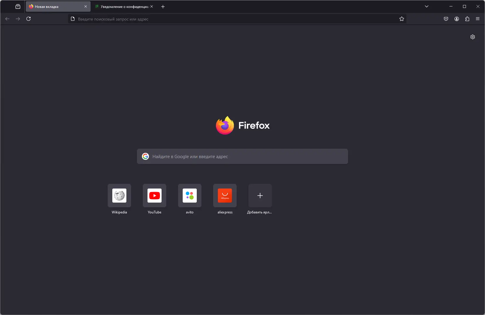 Программный интерфейс Firefox Browser 133.0.3 Portable by PortableApps [Ru]
