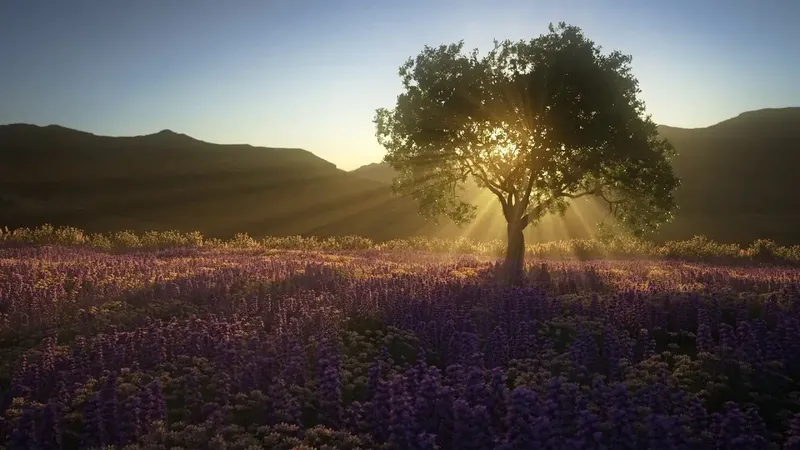 Программный интерфейс Forester v1.5.5 For Cinema 4D R18-2024 Win 1.5.5 [En]