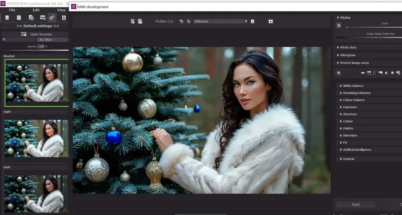 Программный интерфейс Franzis EMOTION #2 Pro 2.27.04017 Portable by Spirit Summer [Multi]