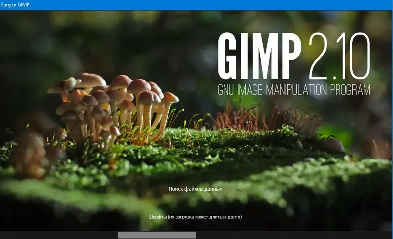 Программный интерфейс GIMP 2.10.10 Final (2019) РС